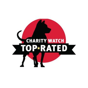 Charity Watch