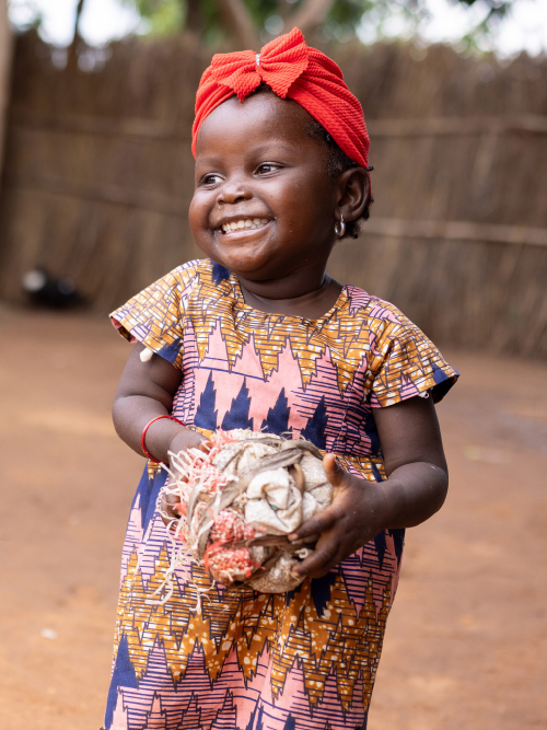 FY26 DM Statement Header 1.jpg