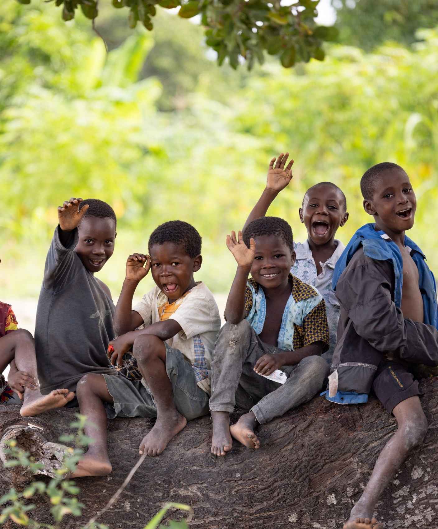 A group of children sitting on a tree branch wave.