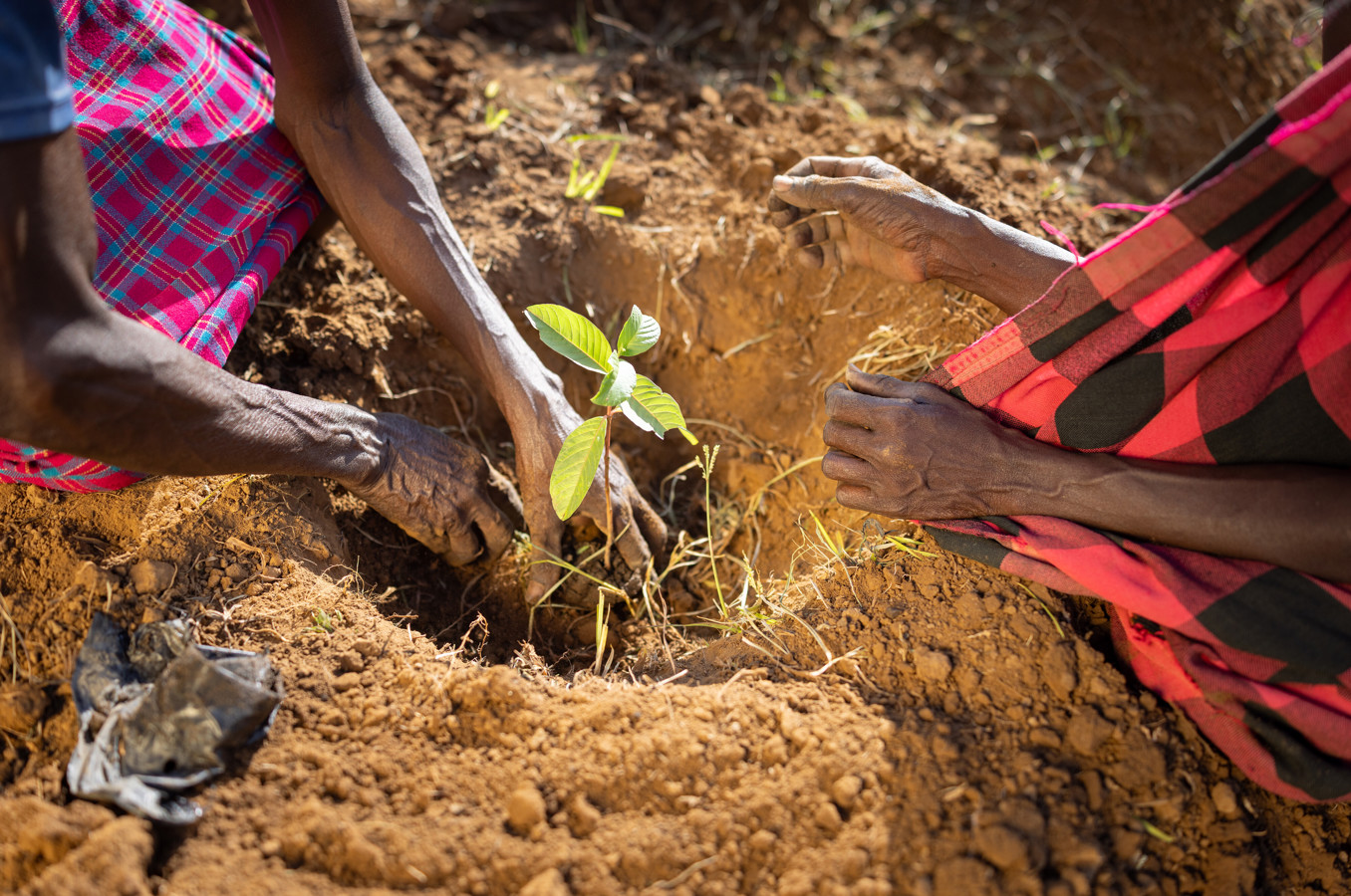 Planting trees in Kenya