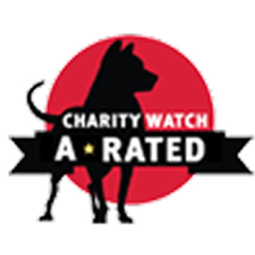 logo1