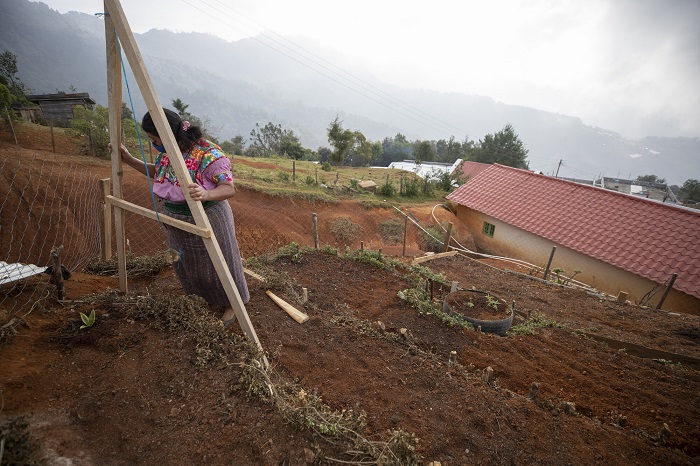 Woman climbs a ladder tending to a terraced garden in Guatemala.