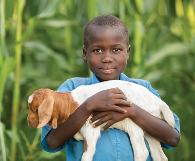 CvrFall_Goat_RS46156_180611_118