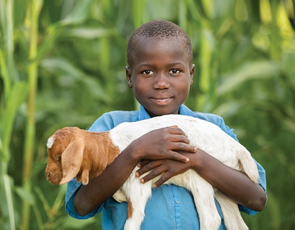 CvrFall_Goat_RS46156_180611_118