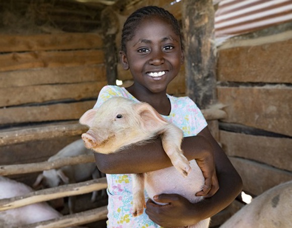 FY21 A Breeding Pair of Pigs for a Family_Revised