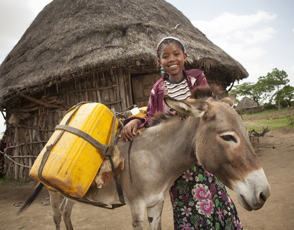 FY21 One Donkey for a Family_Resized