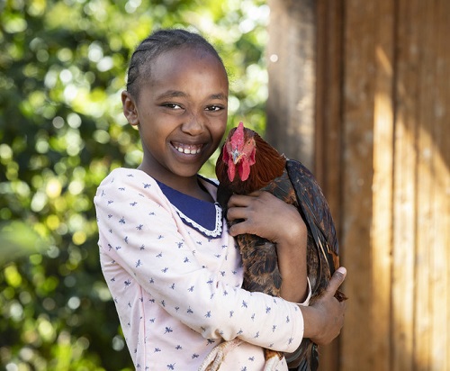 FY21 Six Chickens_Resized