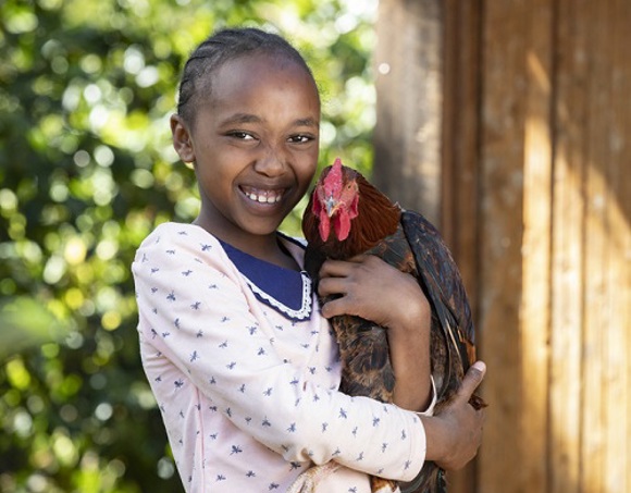 FY21 Six Chickens_Resized