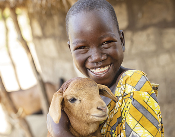 FY23 One Sheep_RS56523