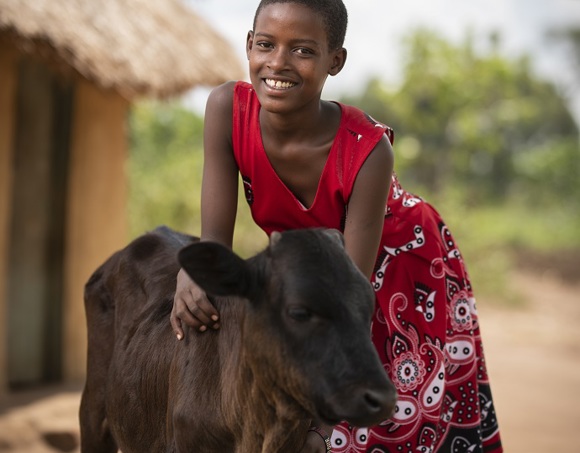 FY24 RGC 1 Cow