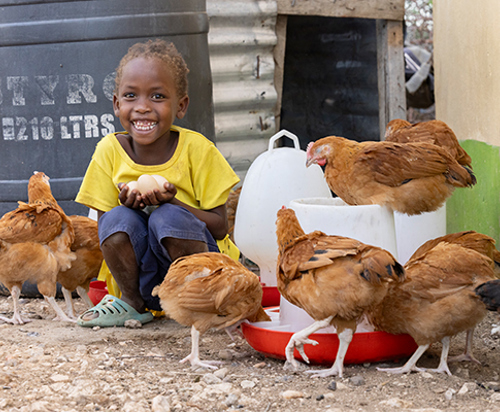 FY24 RGC 12 chickens