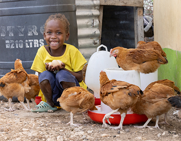 FY24 RGC 12 chickens
