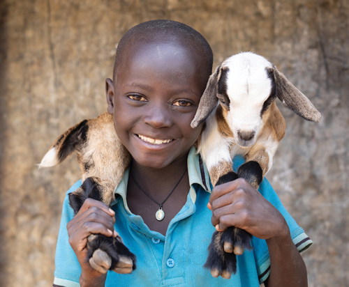 FY27 1goat-alt3