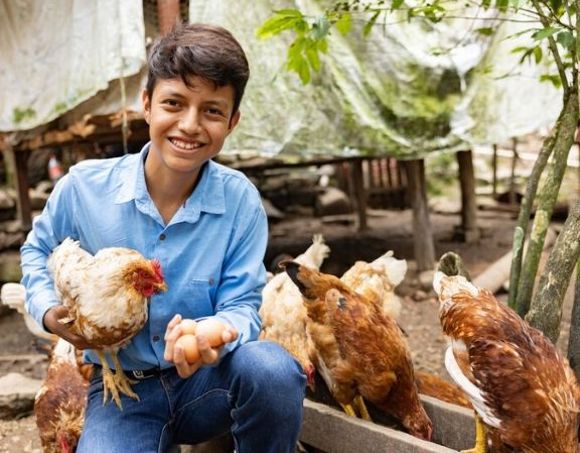 FY27Catalog50Chickens_68790_1015