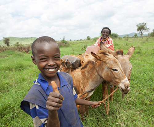 Two_Donkeys_for_a_Family