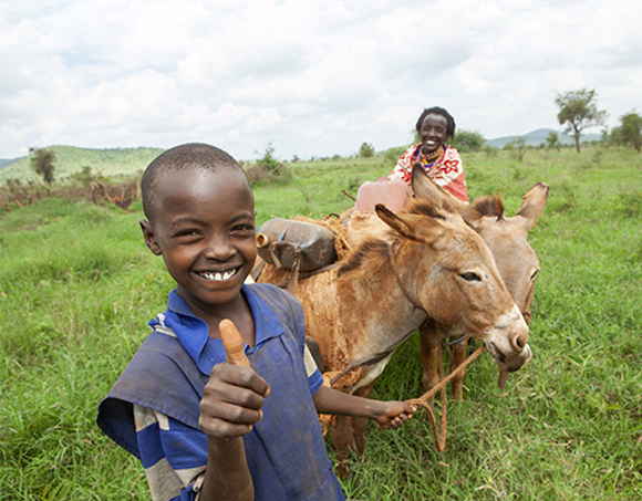 Two_Donkeys_for_a_Family