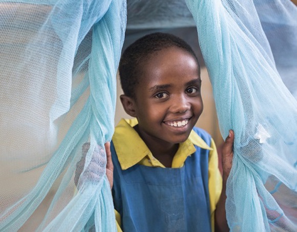 FY21 One Dozen Mosquito Nets_Resized