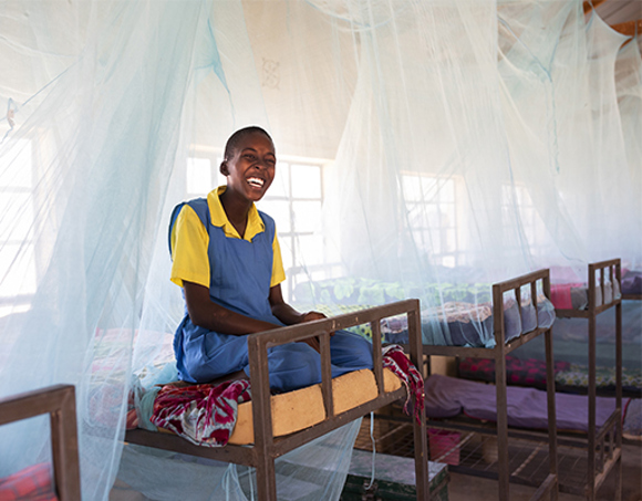 One_Dozen_Mosquito_Nets2