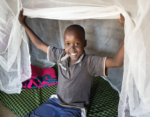 FY26 mosquitonets.jpg