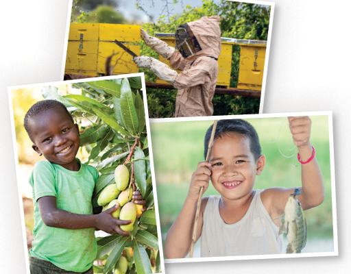 Sustainable Solutions