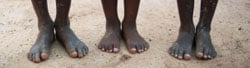 stories_TOMS_feet.jpg