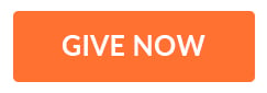 Give Now Button