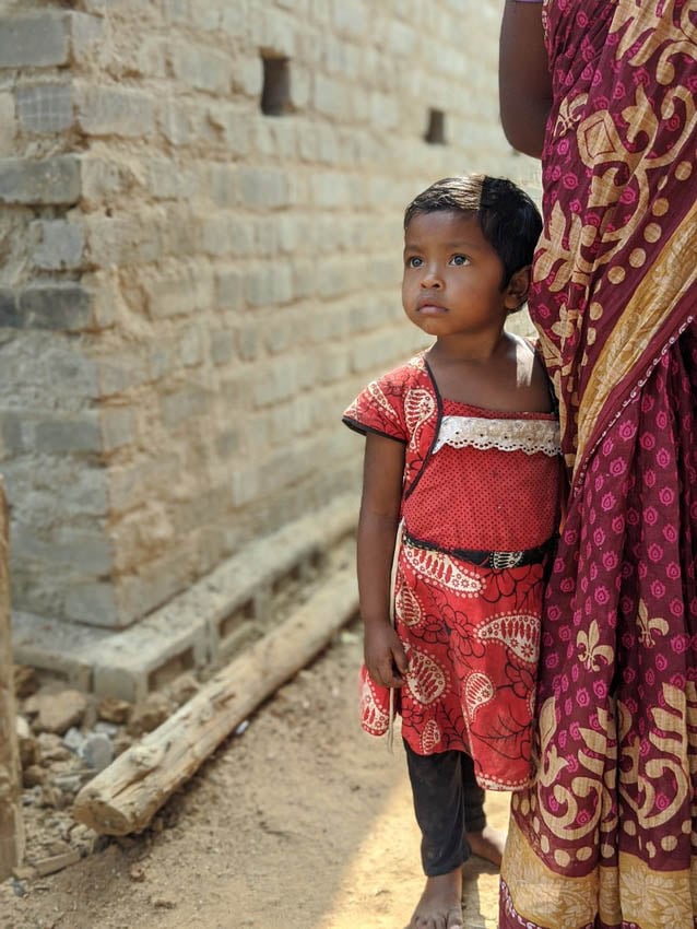 A teenage girl herds cattle in India while looking at camera.