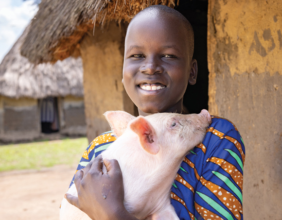 FY27 1pig