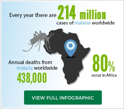 malaria infographic
