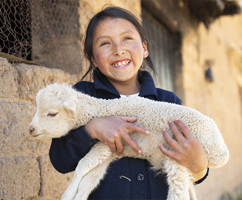 One_Sheep